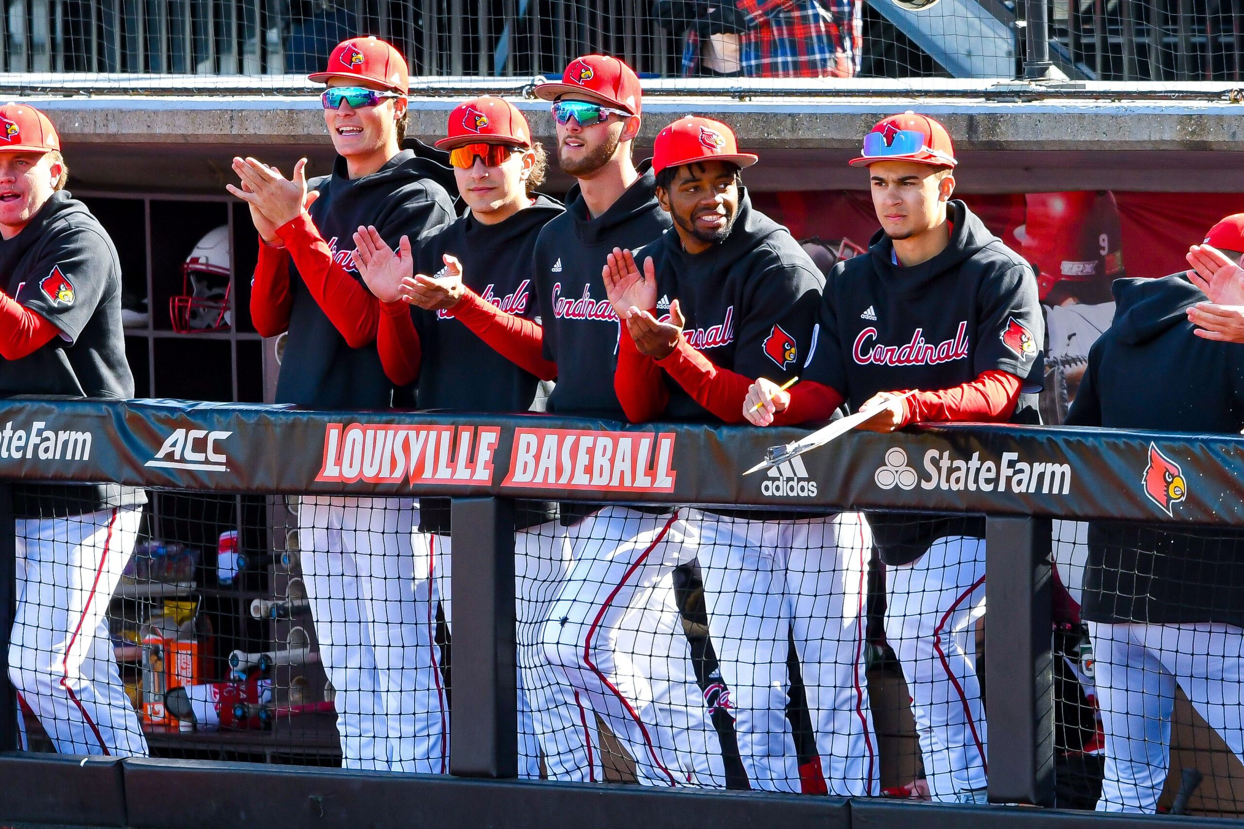 Baseball needs rebound versus Louisville Cardinals after coming back from  COVID-19 pause, Sports
