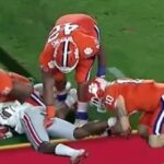 Clemson butt